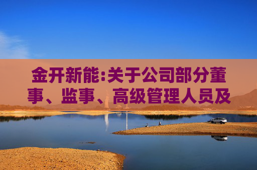 金开新能:关于公司部分董事、监事、高级管理人员及其他核心骨干员工自愿增持公司股份计划暨落实“提质增效重回报”行动方案的进展公告
