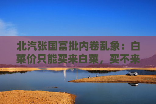 北汽张国富批内卷乱象：白菜价只能买来白菜，买不来金丝楠木