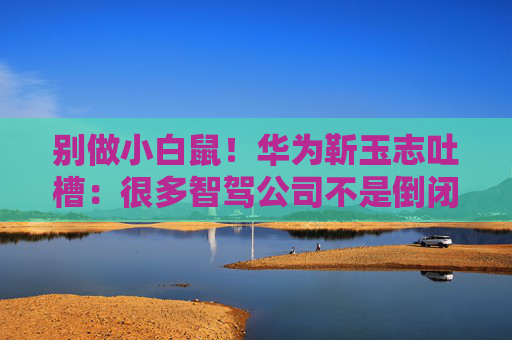 别做小白鼠！华为靳玉志吐槽：很多智驾公司不是倒闭就是做机器人去了