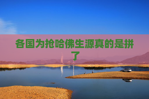 各国为抢哈佛生源真的是拼了