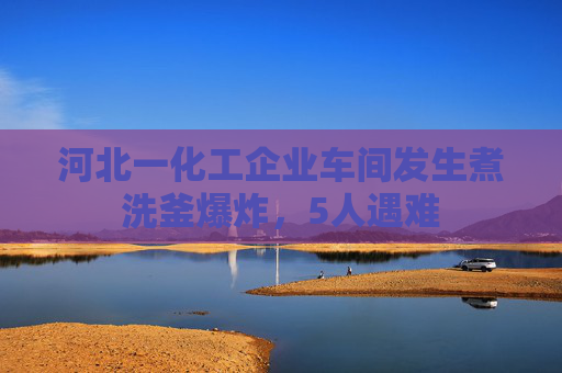 河北一化工企业车间发生煮洗釜爆炸，5人遇难