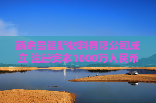 新余宝锂新材料有限公司成立 注册资本1000万人民币