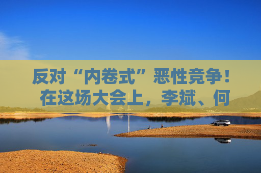 反对“内卷式”恶性竞争！  在这场大会上，李斌、何小鹏、閤先庆等表态“价格战”