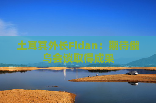 土耳其外长Fidan：期待俄乌会谈取得成果  第1张