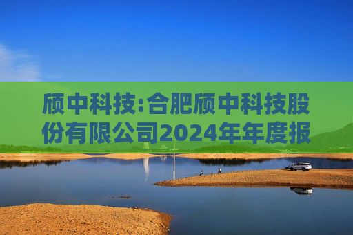 颀中科技:合肥颀中科技股份有限公司2024年年度报告  第1张