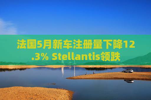 法国5月新车注册量下降12.3% Stellantis领跌