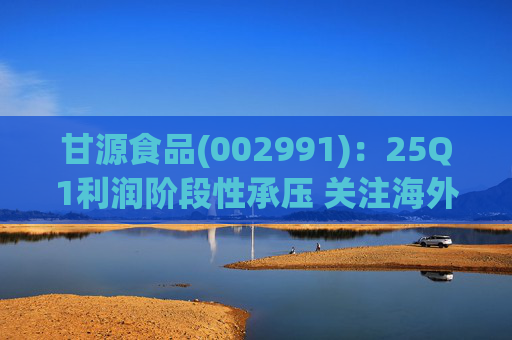 甘源食品(002991)：25Q1利润阶段性承压 关注海外市场突破