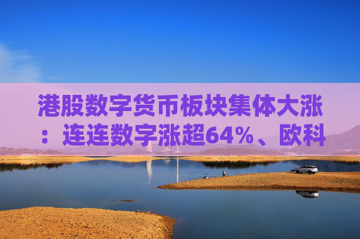 港股数字货币板块集体大涨：连连数字涨超64%、欧科云链涨超41%