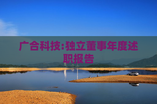 广合科技:独立董事年度述职报告