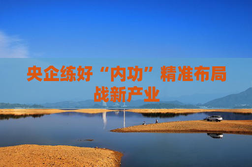 央企练好“内功”精准布局战新产业
