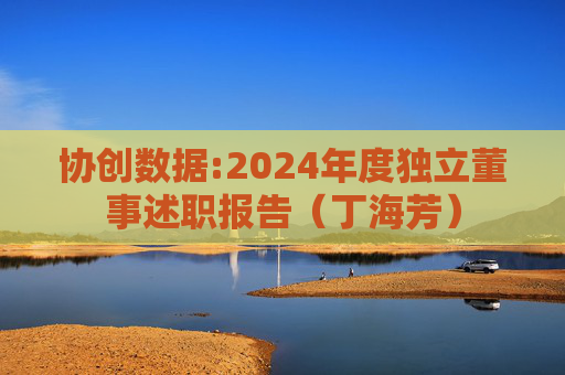 协创数据:2024年度独立董事述职报告（丁海芳）