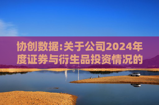 协创数据:关于公司2024年度证券与衍生品投资情况的专项报告