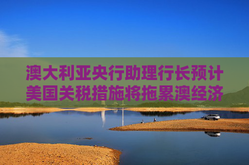 澳大利亚央行助理行长预计美国关税措施将拖累澳经济和就业