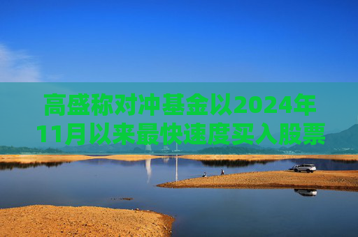高盛称对冲基金以2024年11月以来最快速度买入股票  第1张