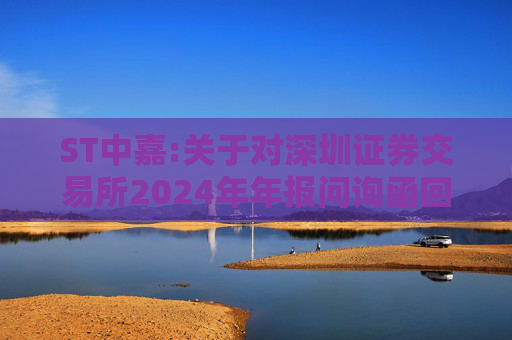 ST中嘉:关于对深圳证券交易所2024年年报问询函回复的公告  第1张