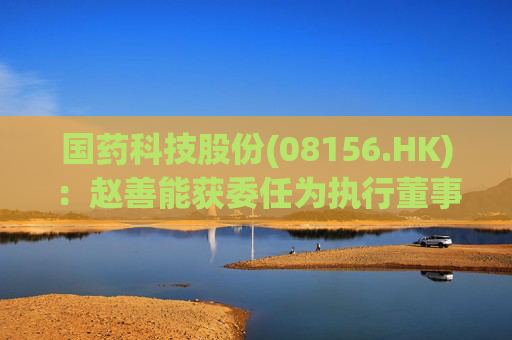 国药科技股份(08156.HK)：赵善能获委任为执行董事