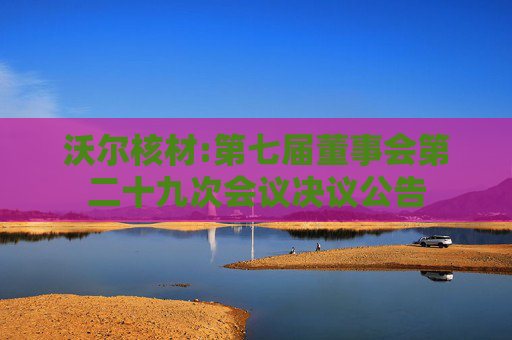 沃尔核材:第七届董事会第二十九次会议决议公告