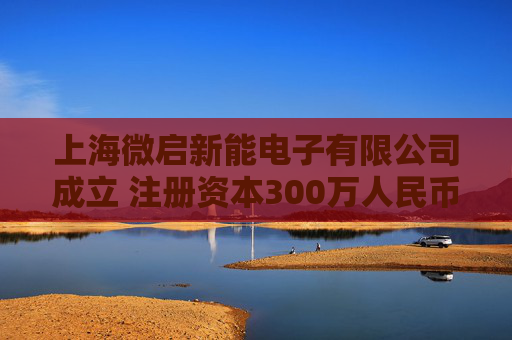 上海微启新能电子有限公司成立 注册资本300万人民币