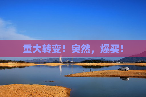 重大转变！突然，爆买！