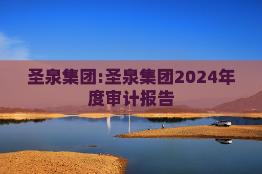 圣泉集团:圣泉集团2024年度审计报告