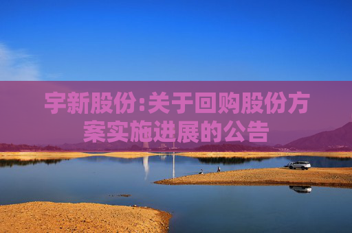 宇新股份:关于回购股份方案实施进展的公告