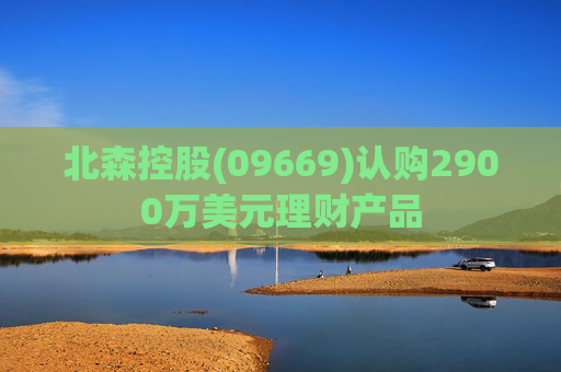 北森控股(09669)认购2900万美元理财产品
