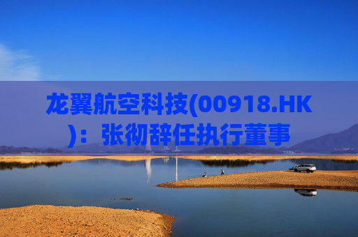 龙翼航空科技(00918.HK)：张彻辞任执行董事