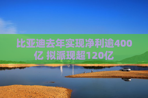 比亚迪去年实现净利逾400亿 拟派现超120亿