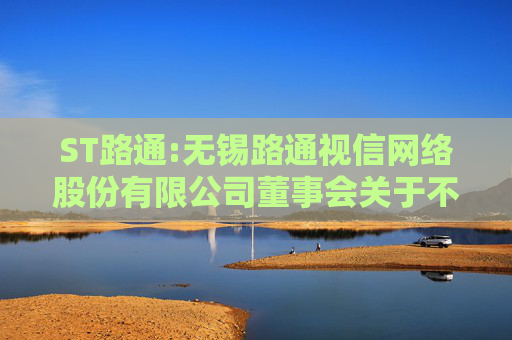 ST路通:无锡路通视信网络股份有限公司董事会关于不同意召开临时股东大会并向股东回函的公告