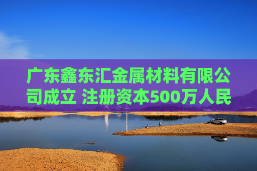 广东鑫东汇金属材料有限公司成立 注册资本500万人民币