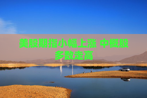 美股期指小幅上涨 中概股多数走高