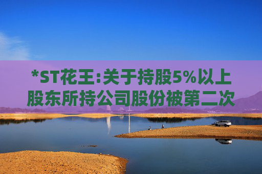 *ST花王:关于持股5%以上股东所持公司股份被第二次司法拍卖的进展公告