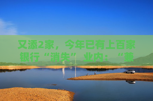 又添2家，今年已有上百家银行“消失” 业内：“兼并重组、减量提质”是中小银行改革重要思路