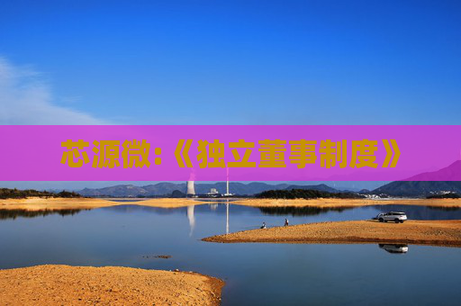 芯源微:《独立董事制度》