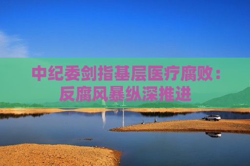 中纪委剑指基层医疗腐败：反腐风暴纵深推进