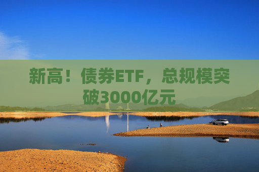新高！债券ETF，总规模突破3000亿元