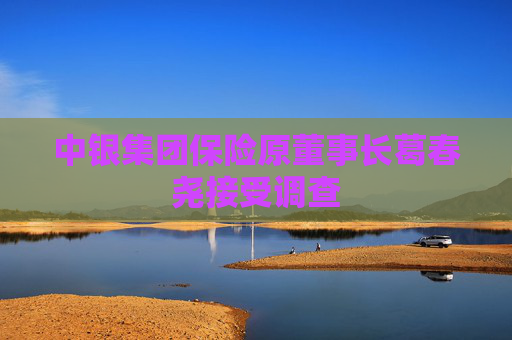 中银集团保险原董事长葛春尧接受调查  第1张