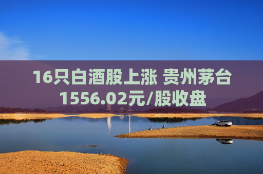 16只白酒股上涨 贵州茅台1556.02元/股收盘  第1张