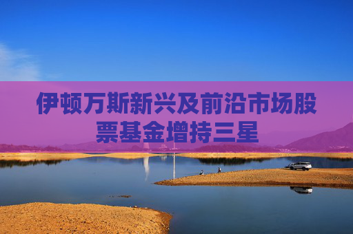 伊顿万斯新兴及前沿市场股票基金增持三星