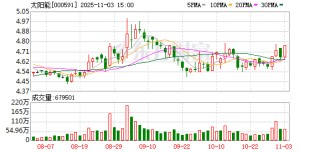 太阳能：累计回购公司股份10930100股