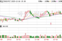 太阳纸业：目前公司的产品出口占比较小