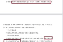 龙旗科技筹划登陆H股：去年A股IPO募资15.6亿元 广义货币资金达92亿元拟用不超50亿现金理财
