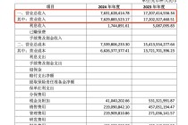 华宇集团2024年净利缩水近九成，57岁董事长蒋杰曾是建筑公司施工员