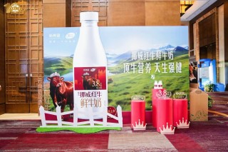 “不焦虑”“向上卷”，新希望乳业积极拥抱AI破局奶业新质发展