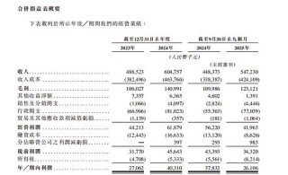 锦欣康养冲击港股 IPO：医养结合成破局养老赛道关键密码