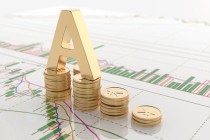 如何正确办理公共基金相关事务？这些事务的办理流程如何优化？