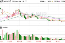 三木集团：公司无逾期担保