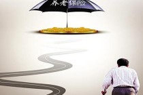 如何合理缴纳社区养老费用？缴纳方式和标准是什么？