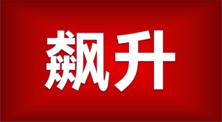 如何进行股票期权程序化交易？交易有哪些要点？