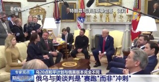 一份计划两个版本 乌总统再赴美谈“和平协议”